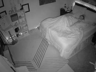 The Horny Hostel - Bedroom 2